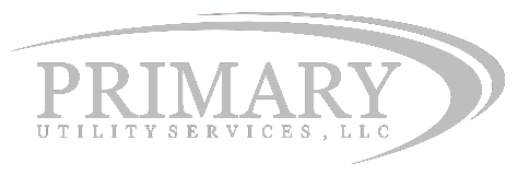 primaryus client logo